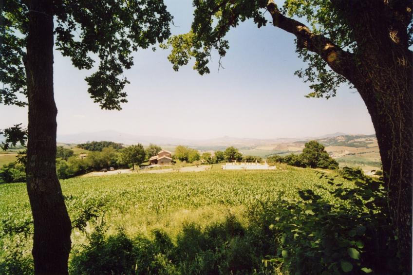 La Colonnetta - foto 38