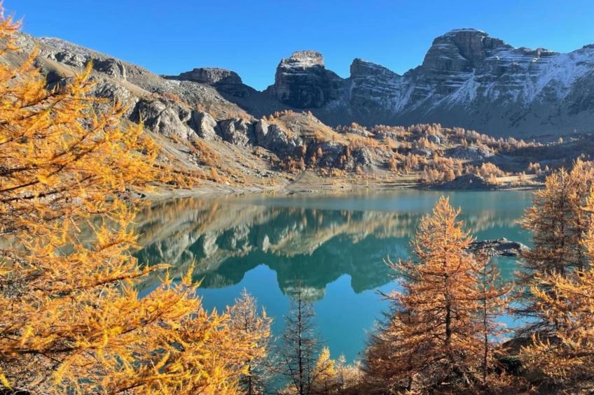 Les Marmottes N°14 - ST4 - foto 14