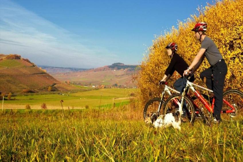 Ferienhaus der Saison an der Mosel - foto 38