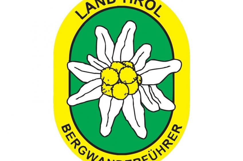 63406 - foto 10