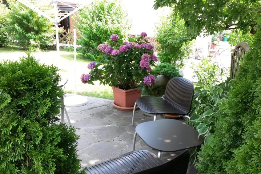 Ferienhaus Büsch - foto 14