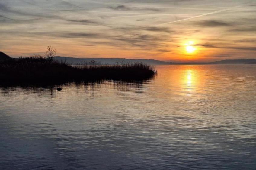 Ferienhaus Kronenburger See - foto 32