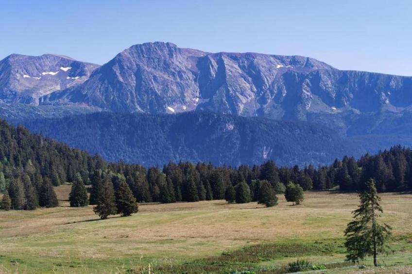 V du Bachat SILENE A N°05 ST6 - foto 32