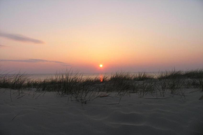 Helmgras I - foto 21