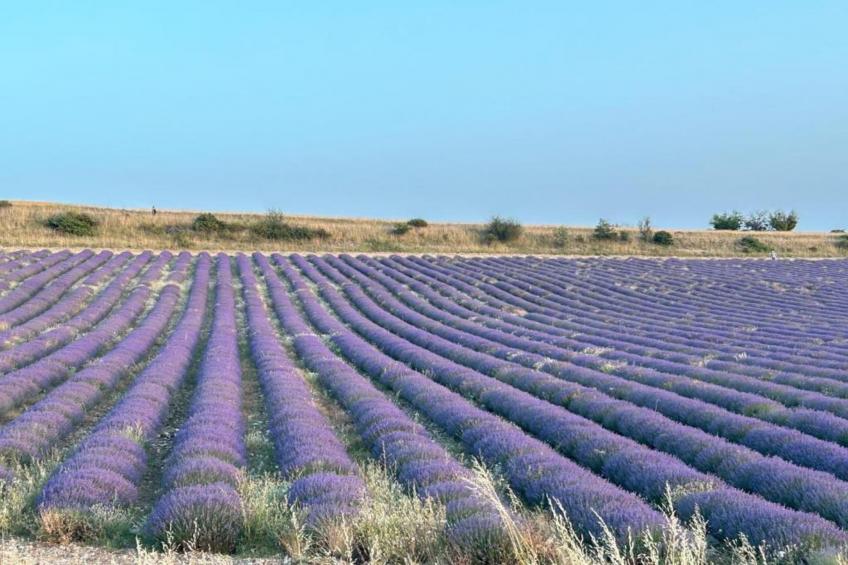 Chateau des Gipières - foto 28