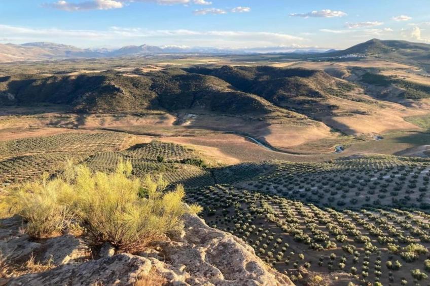 La Cocineta - foto 40