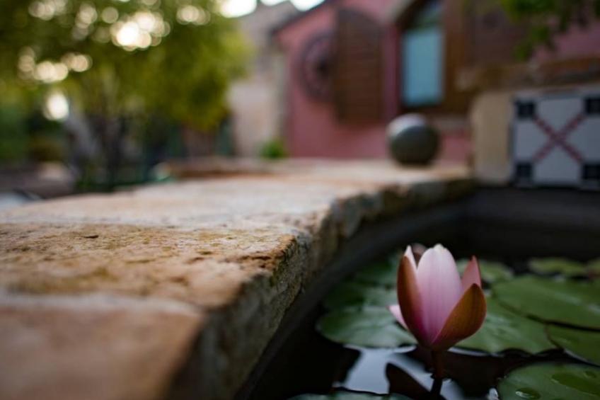 Villa mit Pool für 29 Personen ca. 800 m2 - foto 22