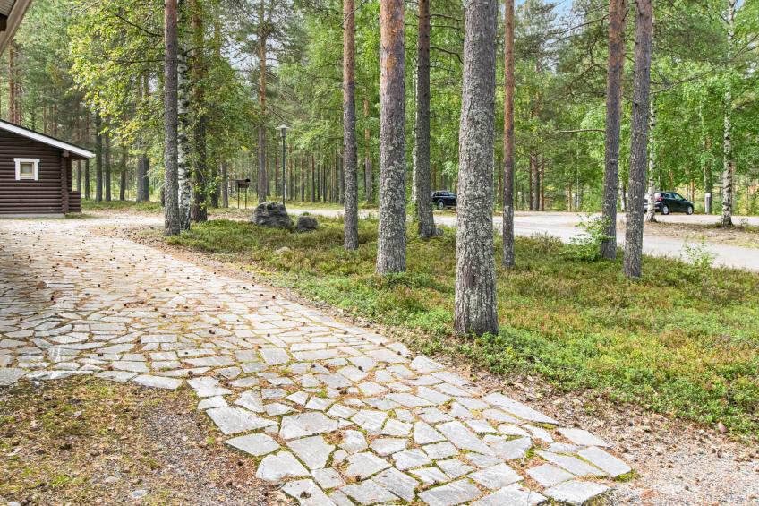 Mäkrä 3 - foto 26
