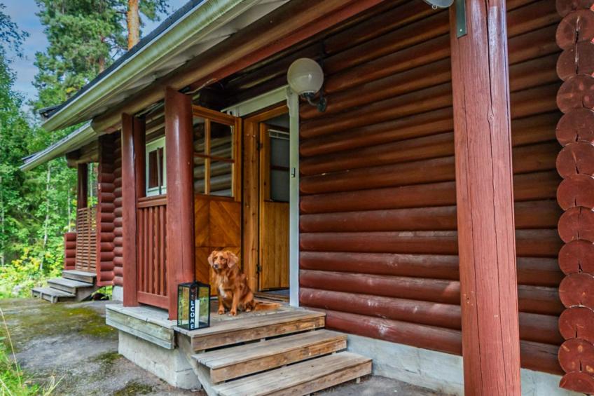 Rustholli 1 - foto 3