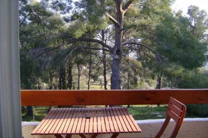 mit Terrasse, mitten in der Natur - foto 2