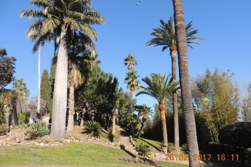 Studio Vue mer standing proche Cannes - foto 18