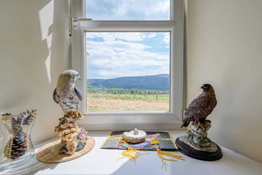 The Manor House - foto 2