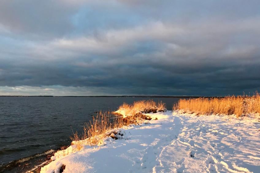 Wiesenblick 6 - foto 24