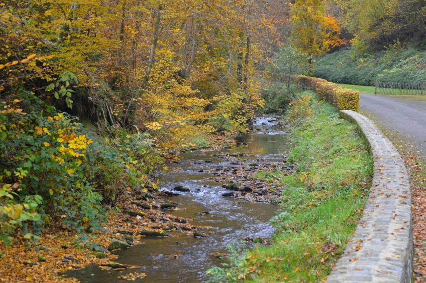 Le Vieux Moulin 22 - foto 38
