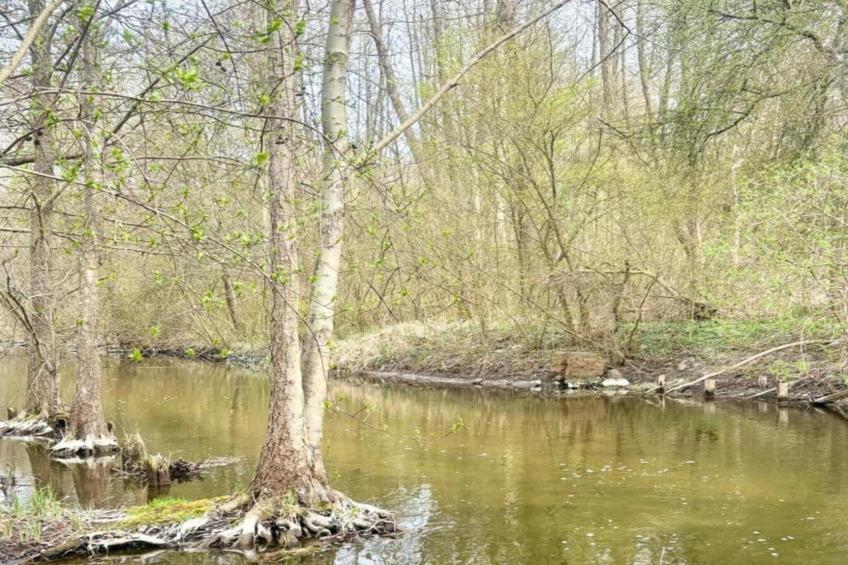 Holiday home Jedrek - foto 35