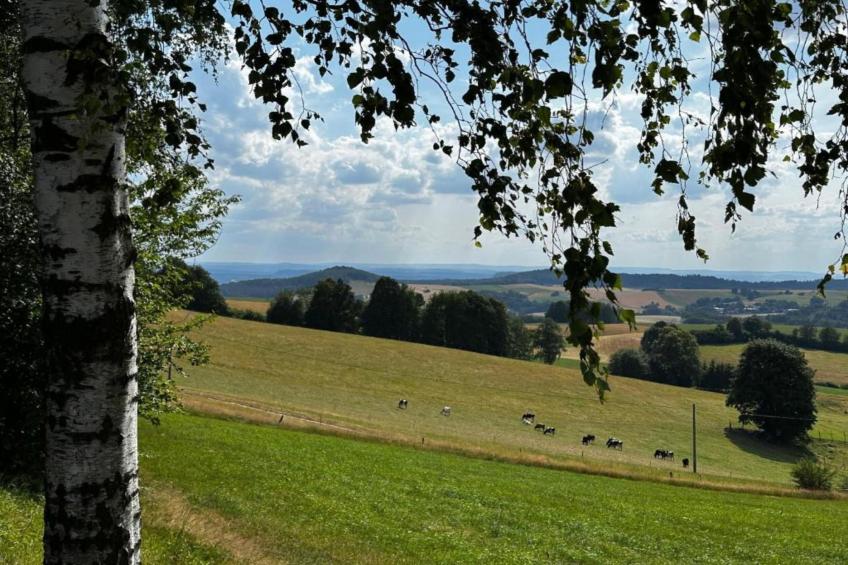 Ferienwohnung in Kamenz - Sachsen - foto 29