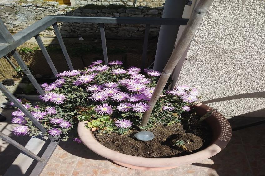 Apartment Brezak - Two Bedroom Apartment with Terrace and City View - foto 12