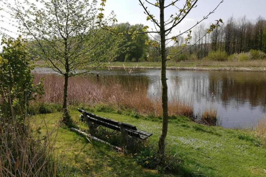 Villa Bosrijk - foto 39