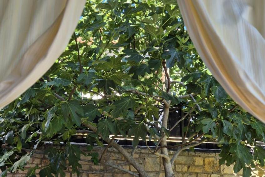 Villa Funny - foto 28