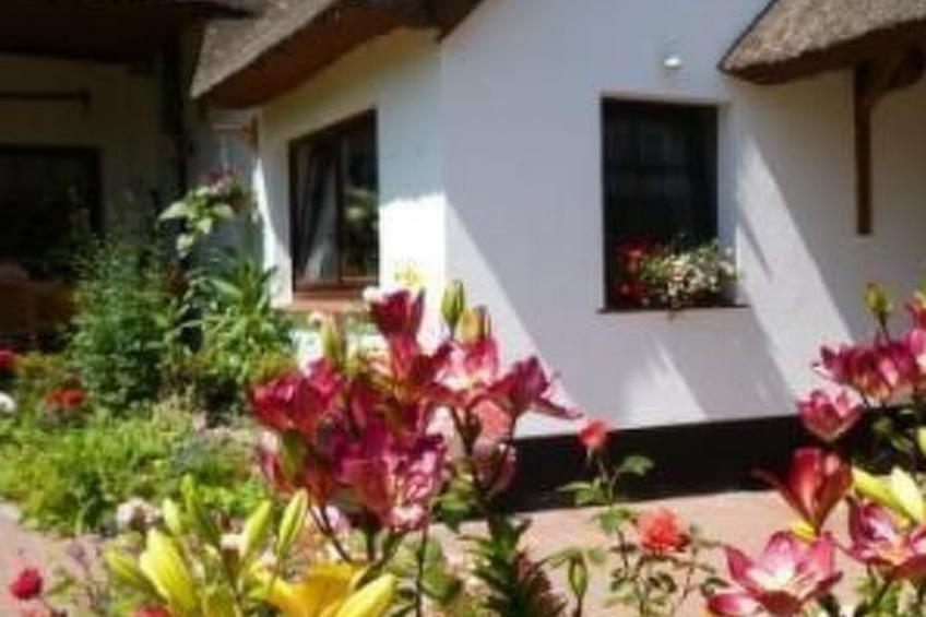 Morgensünn- Nette Wohnung in Althagen mit Terras