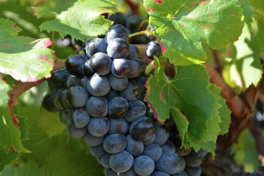 Appartement La Pampa - foto 21