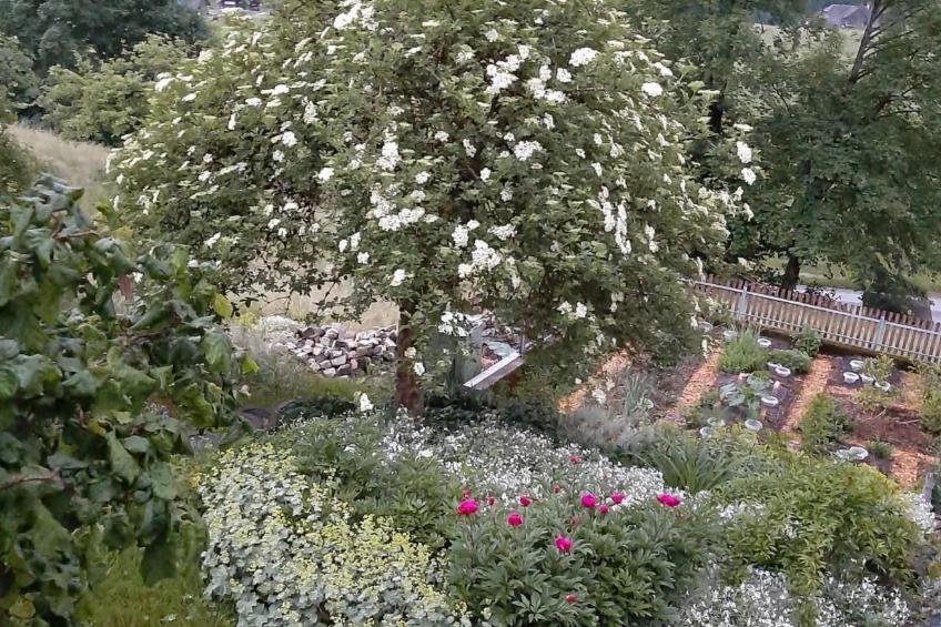 Kirchmatte - foto 23