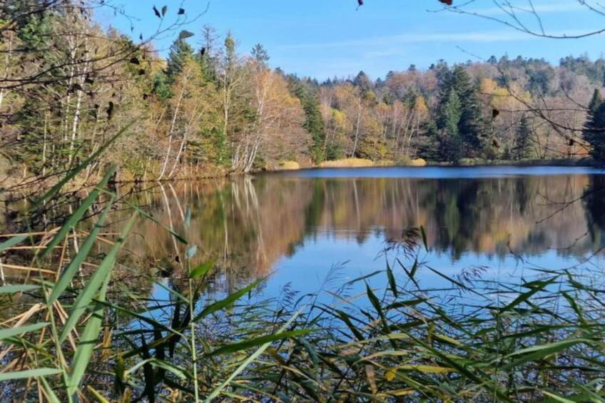 Maison de vacances - ESMOULIÈRES - foto 19