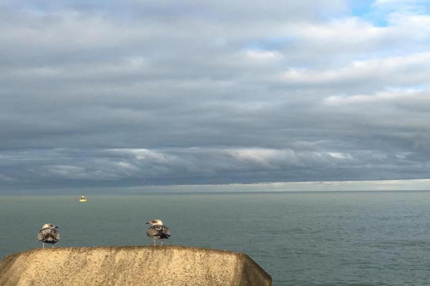 Villa Arthur - foto 34