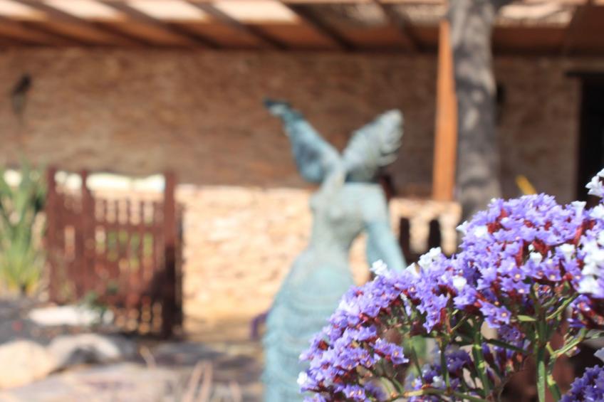 Kanarisches Haus mit privatem Pool und Garten - foto 14