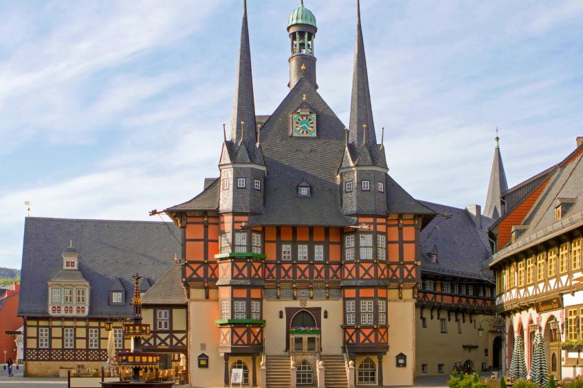 Gemütliche Wohnung in Wernigerode mit Garten - foto 31