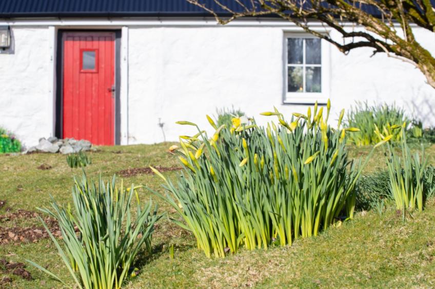 The Cottage - foto 48