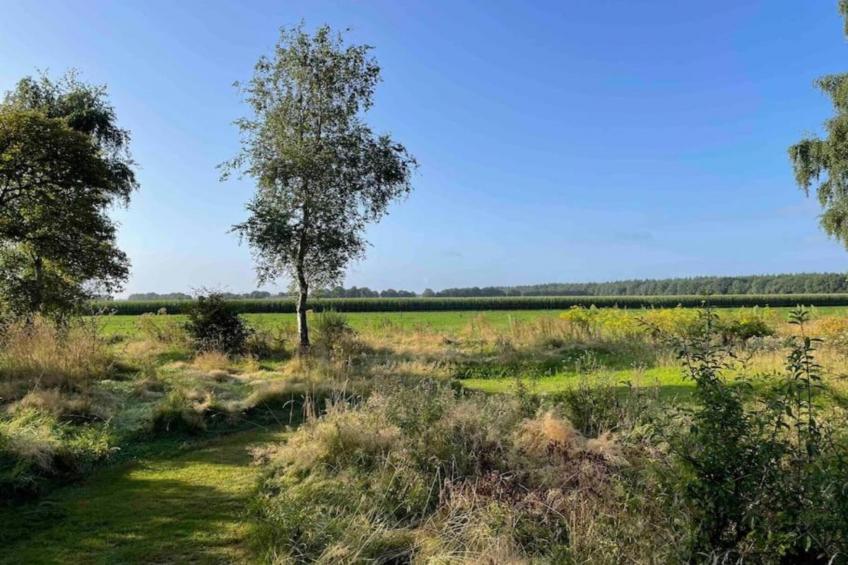 Glamping Resort Lauwersmeer 3 - foto 35