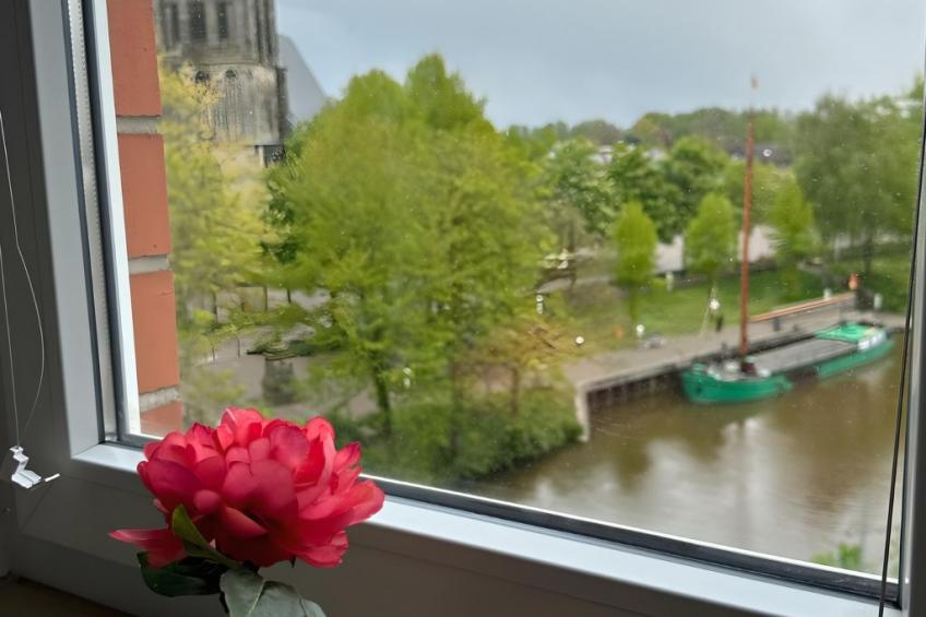 FeWo Stadtblick - foto 13