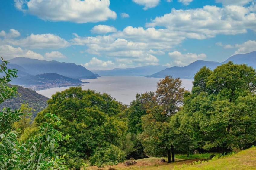 BET03/1 - Le Betulle - foto 38