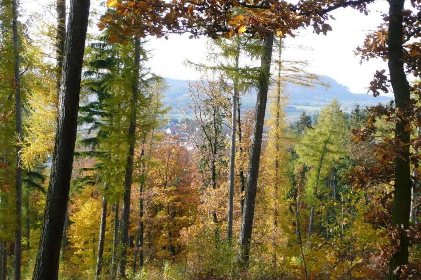 Fachwerkhaus Thüringen - foto 37