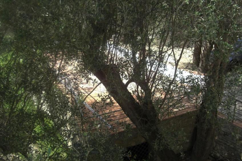 Strandnahe Ferienwohnung mit Garten und Grill - foto 28