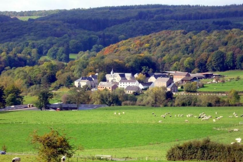 Ardennen Ferienhaus 5 Zimmer 5 Bad 14 Pers Zugang Chaisards - foto 20