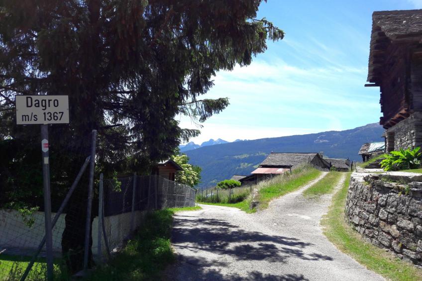 Cà dru Lurenz - foto 23