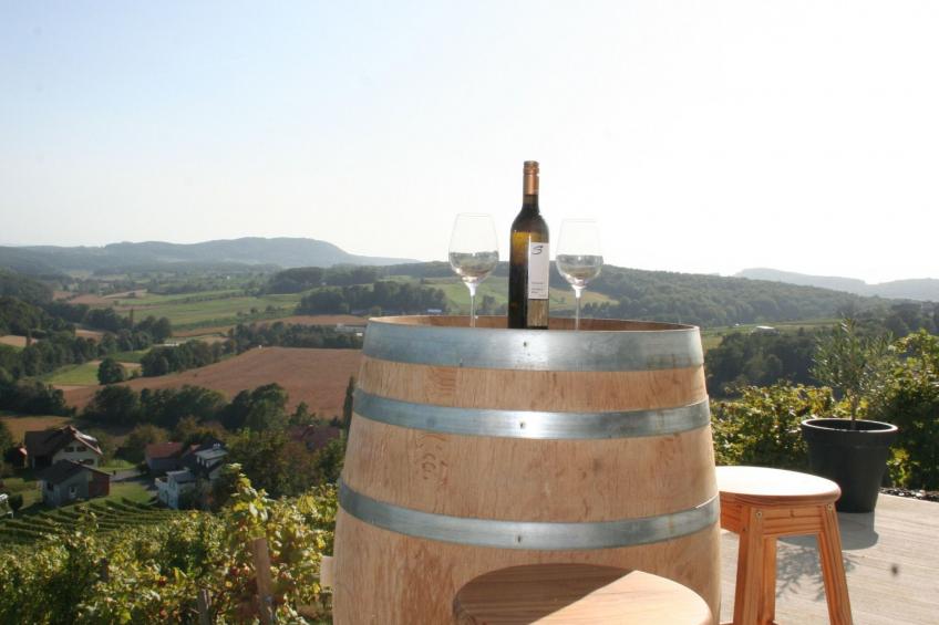 Rebenchalet - foto 15