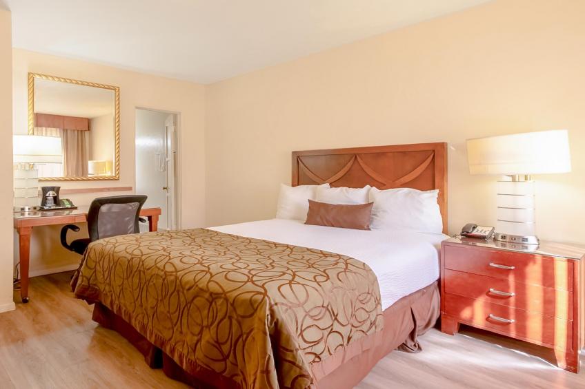Executive Suite-Non-Smoking - foto 12