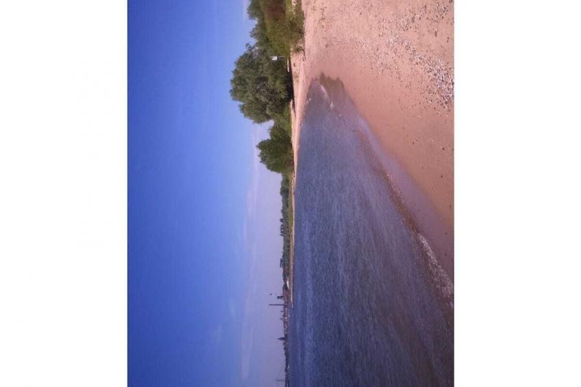 49778 - foto 20