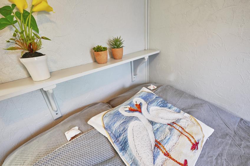 Ooievaarsnest - foto 13