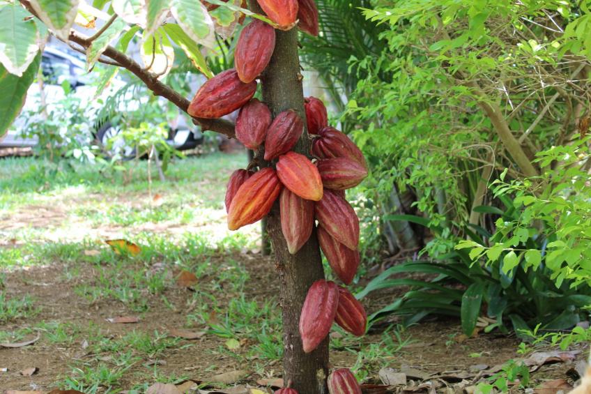 VIllakapy Ideal für Rentnerinnen und Rentner - foto 25