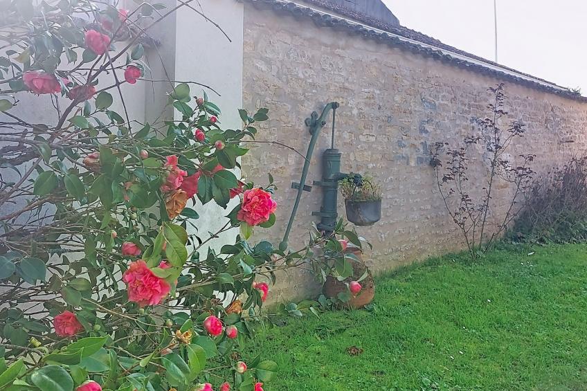 Le Château 3 - foto 36