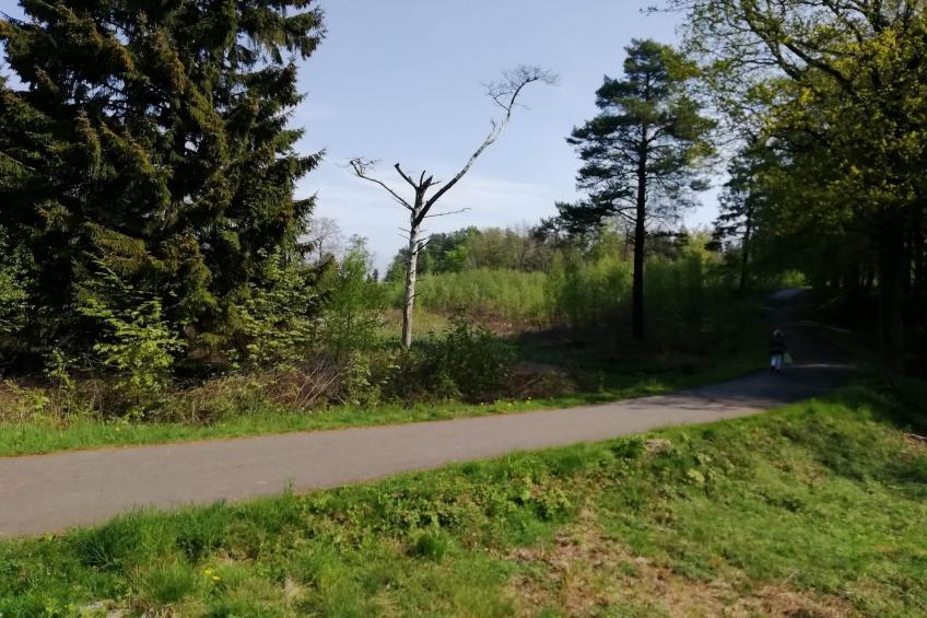 VW-RN9GW - foto 41