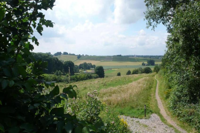 Resort Maastricht - foto 38