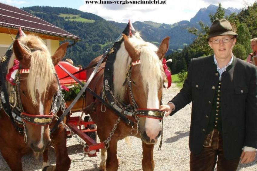 Luxusappartment - foto 40