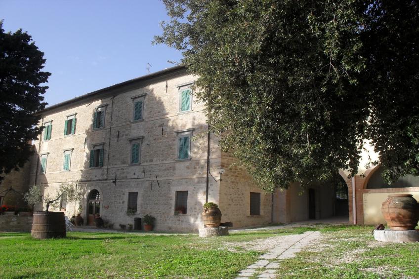 Glicine - foto 35
