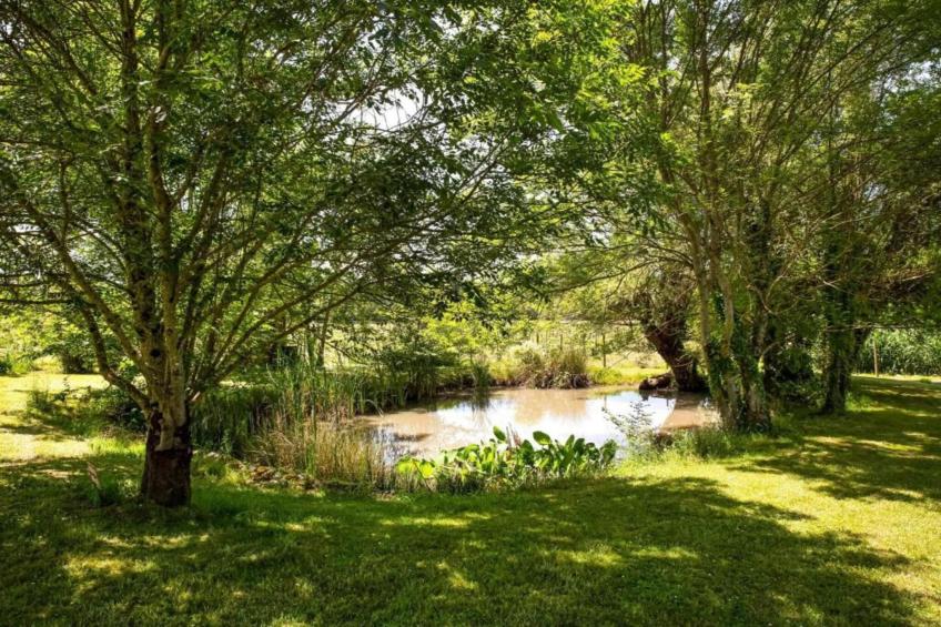 Les Coquelicots - foto 29