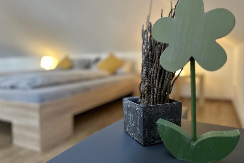 Hasn Res - foto 14